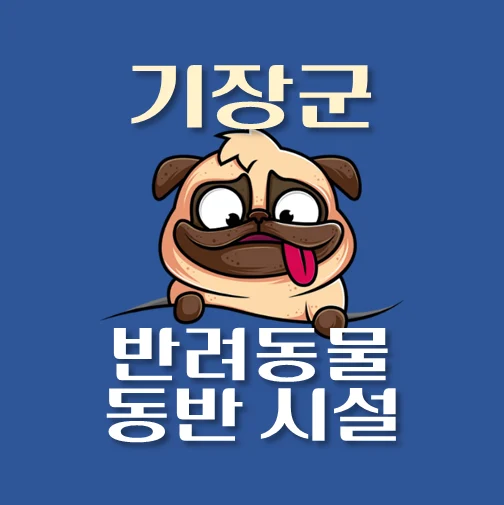 썸네일-기장군-반려동물-출입가능-장소