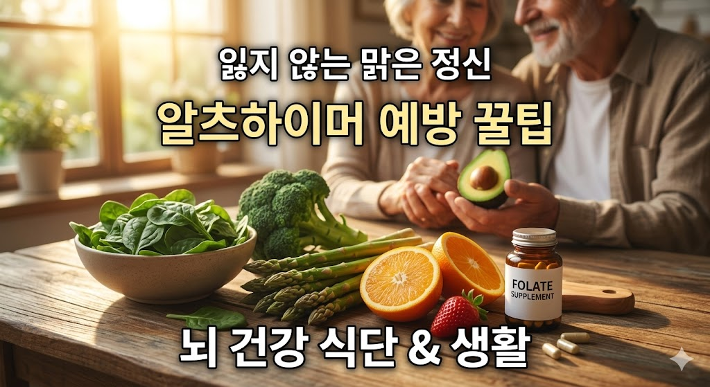 인지력 향상 알츠하이머 관리를 위한 영양제 선택