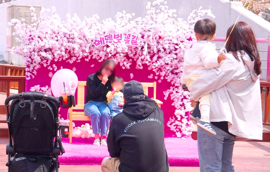 에덴벚꽃길 벚꽃축제