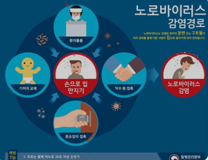 쿼드데믹 확산 및 대응방안