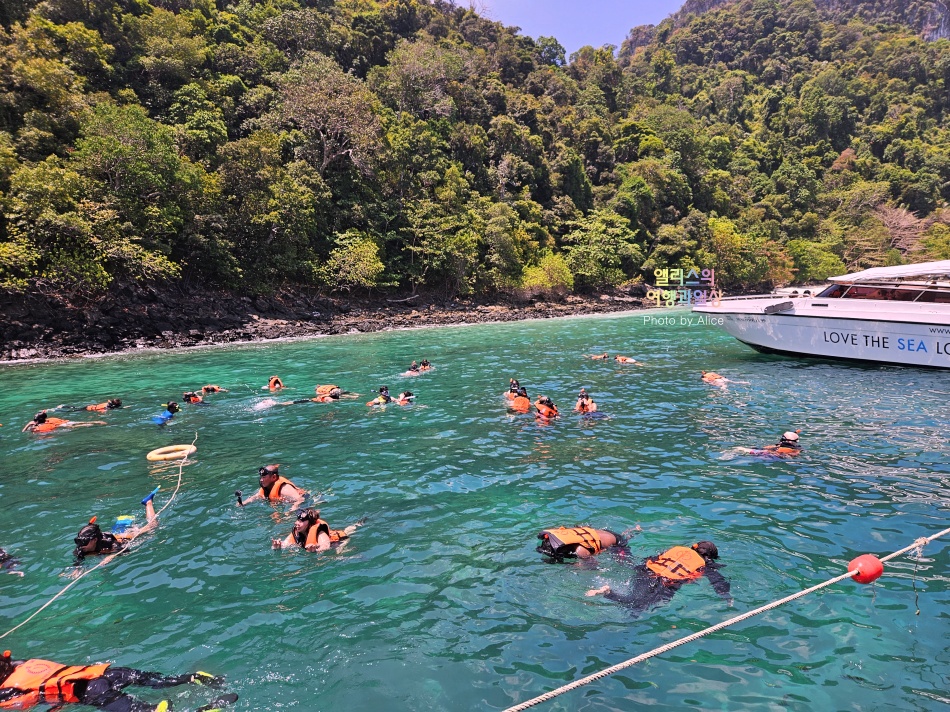 피피섬 마야섬 몽키 비치 카이섬 (클룩) 일일투어