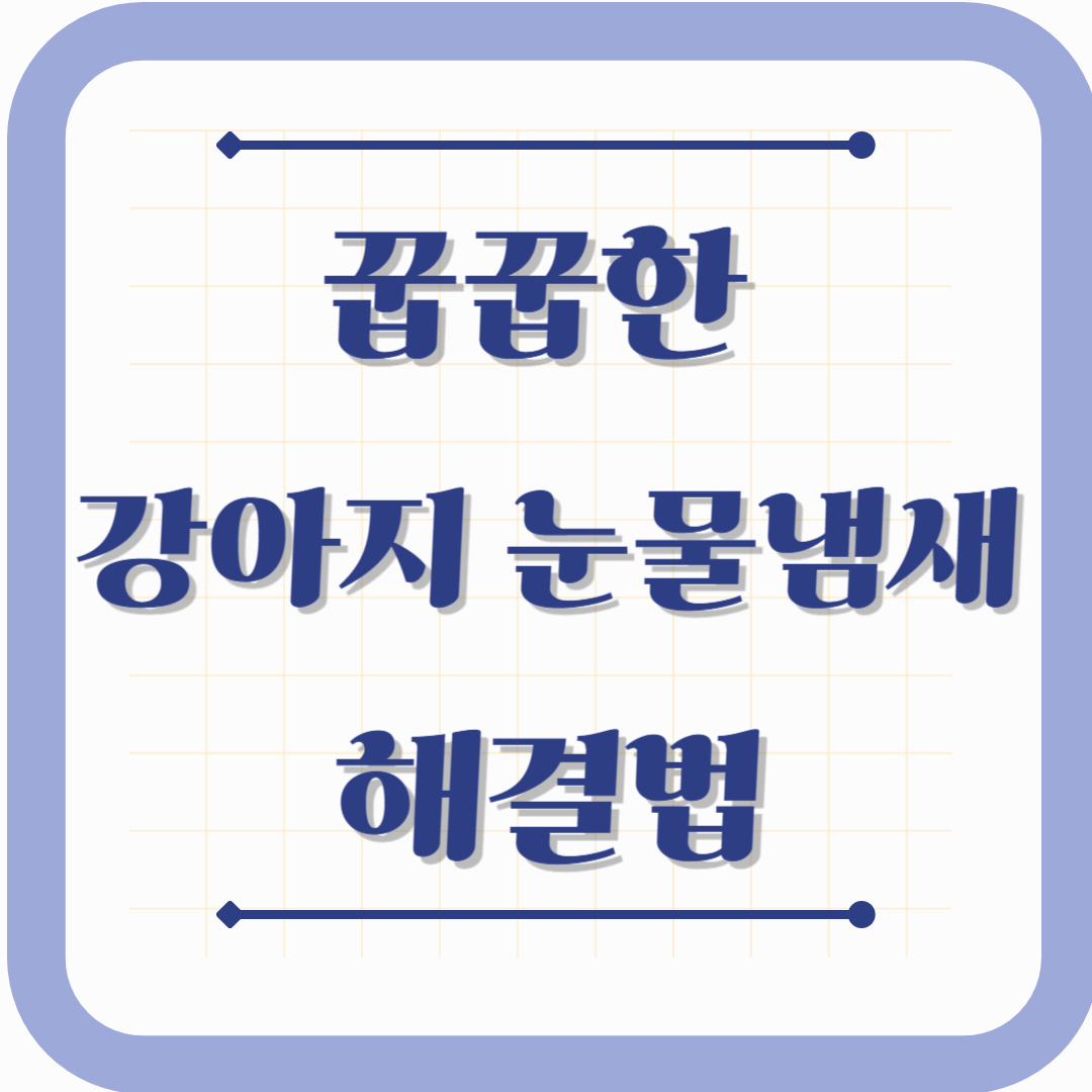 꿉꿉한 강아지 눈물냄새 해결법!