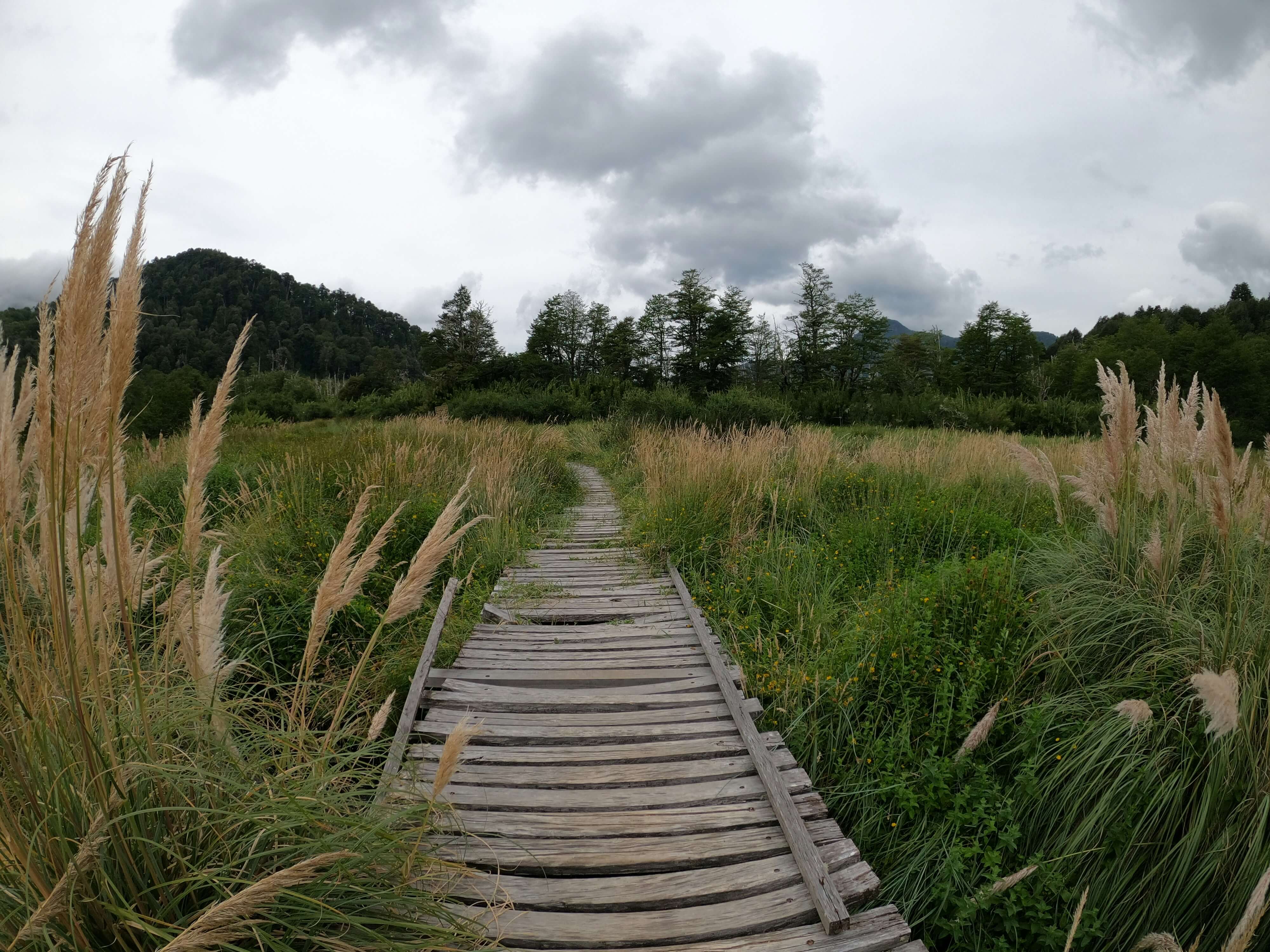 창녕-화왕산- 억새 명소 - 10월 -가을 여행