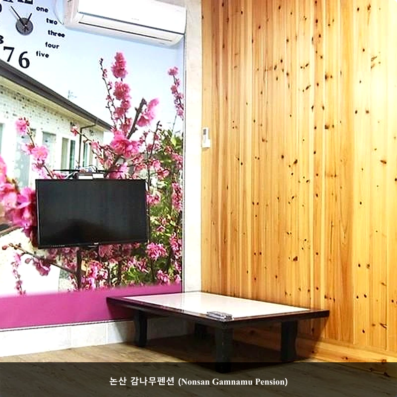 논산 감나무펜션 (Nonsan Gamnamu Pension)_3