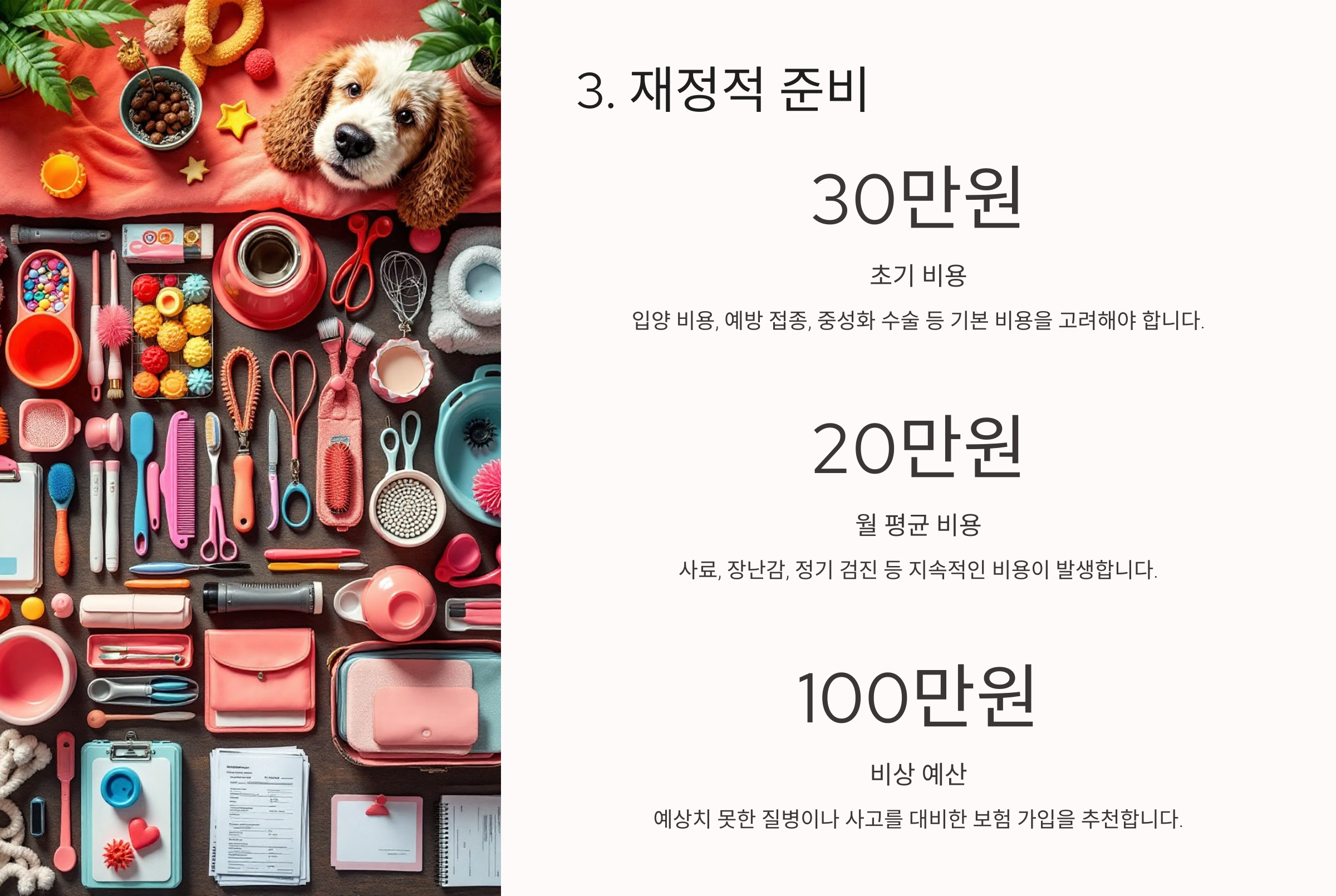 재정적 준비