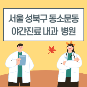 성북구 동소문동 야간진료 내과 병원 리스트 (18시 이후 늦게까지하는 병원)