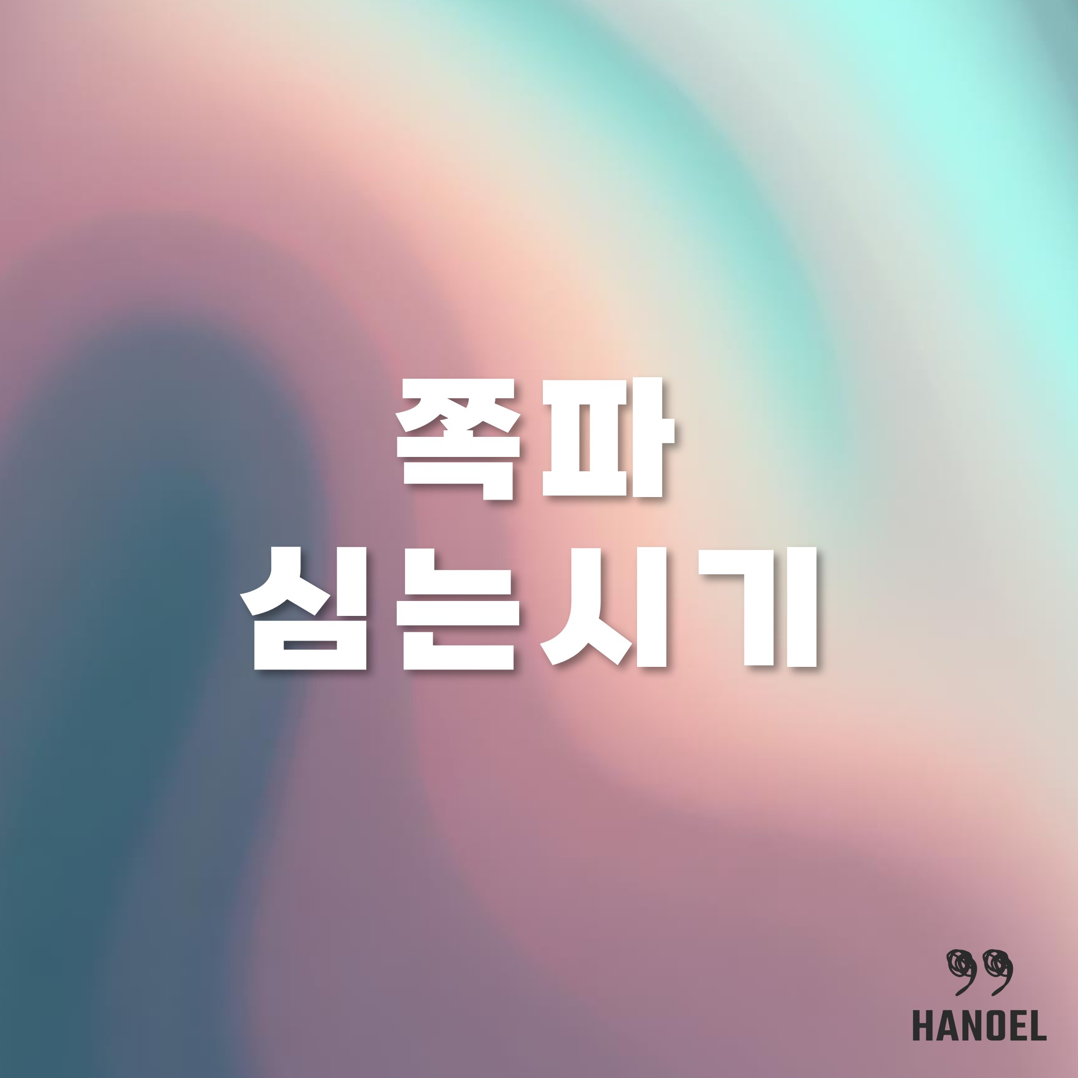 쪽파심는시기 심기 수확시기