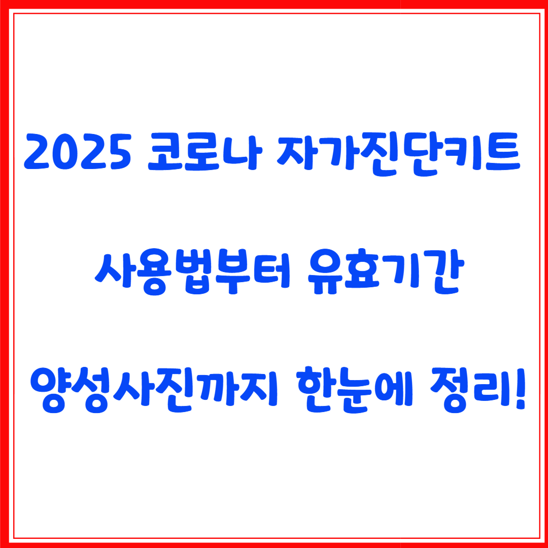 2025 코로나 자가진단키트 사용법부터 유효기간·양성사진까지 한눈에 정리!