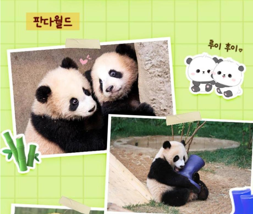 &ldquo;2025 에버랜드 야간이용권 초특가! 할인 예약&amp;#44; 여름밤 데이트&amp;가족 나들이 완전정복&rdquo;