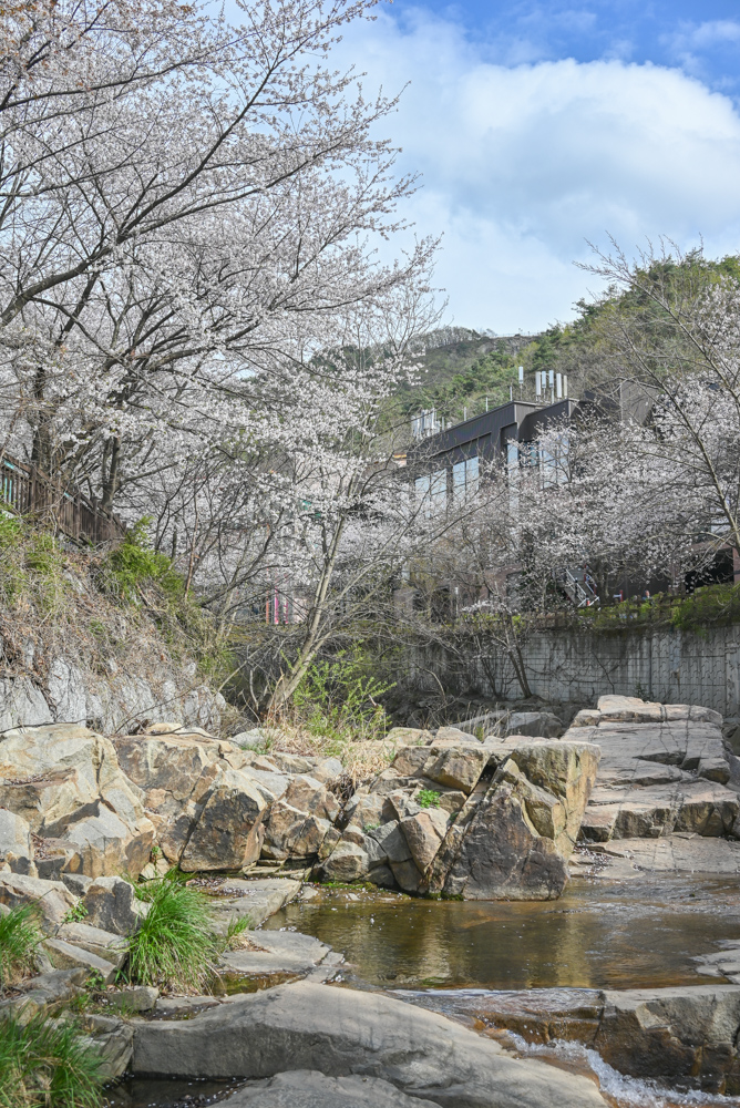 안양예술공원 계곡 상류