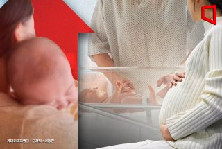 2026년 2월 출생아 증가 13..6% &amp;#124; 30대 출산율 &amp;#124; 20개월째 증가