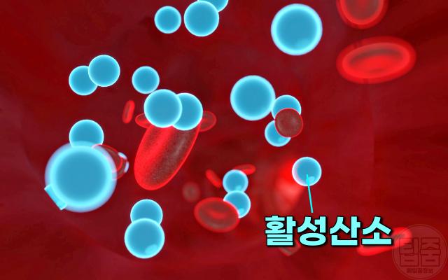 복숭아 효능 6가지,활성산소 제거 음식,팁줌