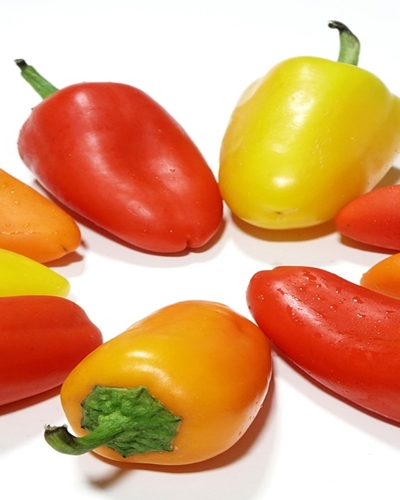 파프리카 효능 사진23