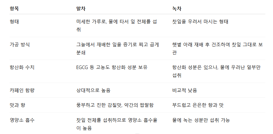 “말차 한 잔, 건강과 집중력까지 바꾼다” 전 세계가 열광하는 푸른 슈퍼푸드의 비밀