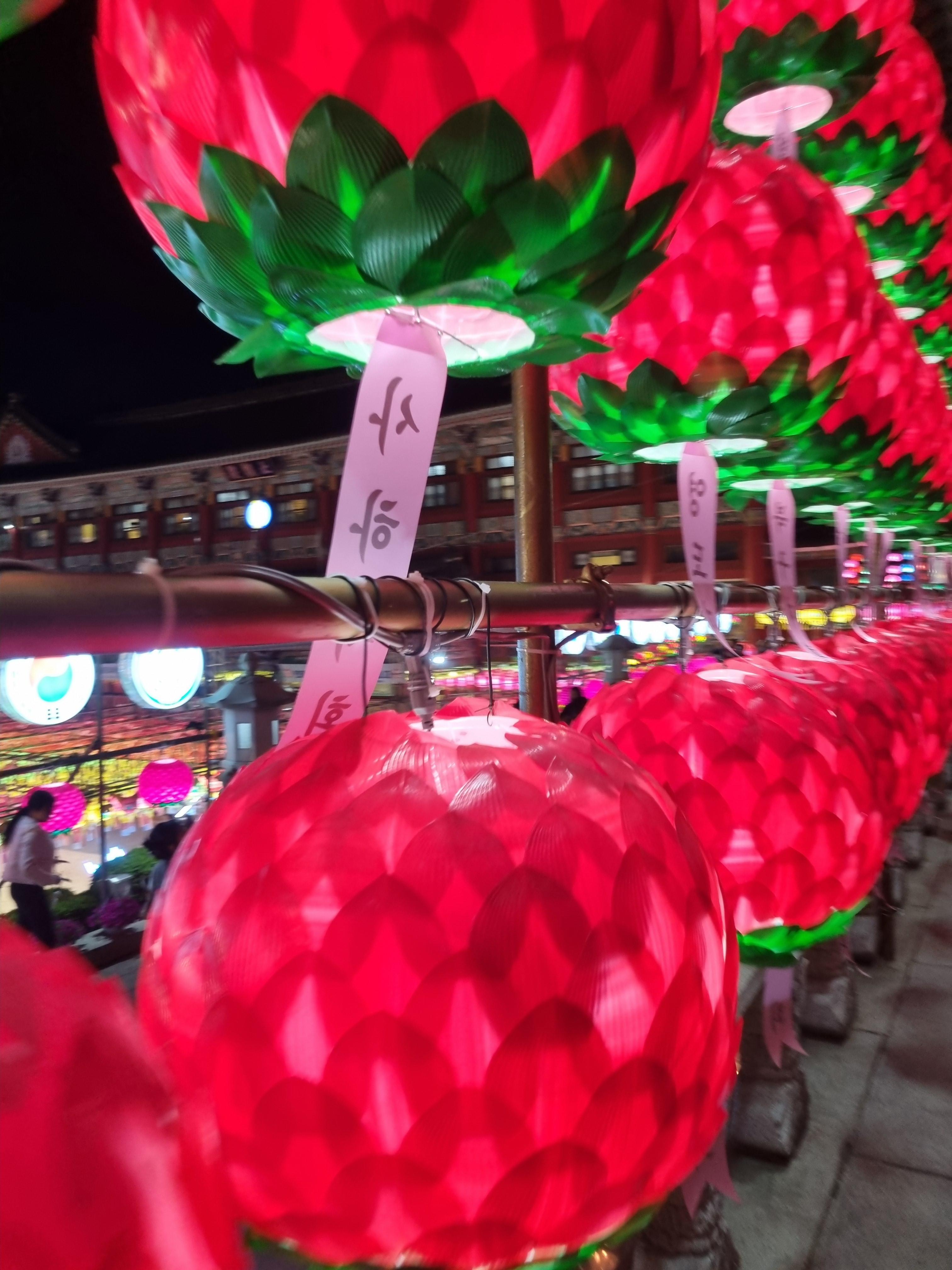 삼광사 연등축제