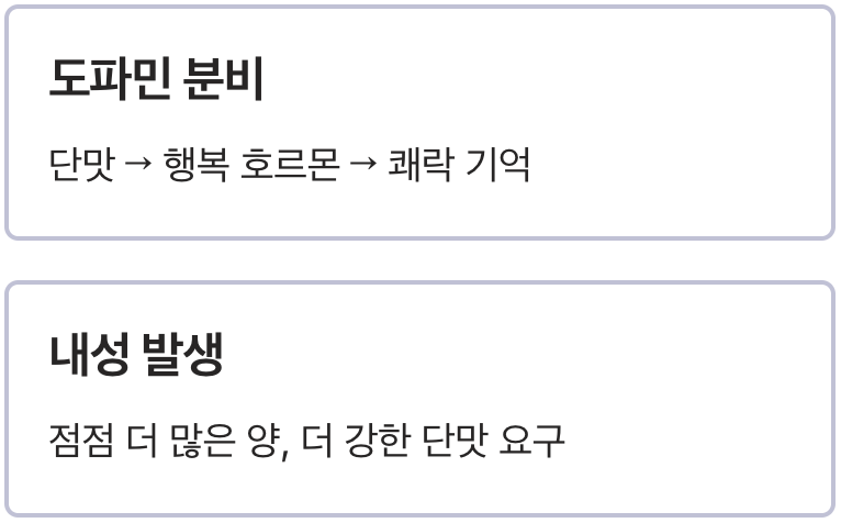 뇌를 속이는 쾌락&amp;#44; 설탕의 두 얼굴