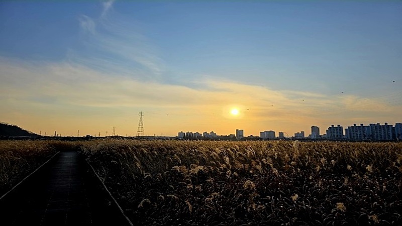 노을 지는 갈대밭과 나무 데크 산책로