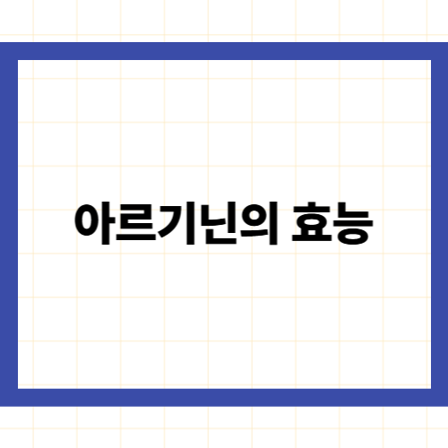 아르기닌의 효능