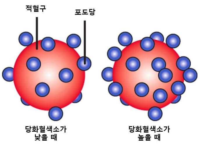 당화혈색소란