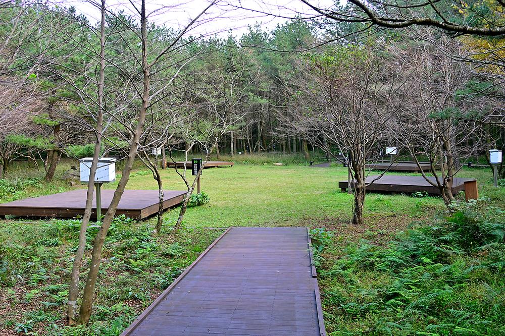 제주 붉은오름 자연휴양림 숲속야영장