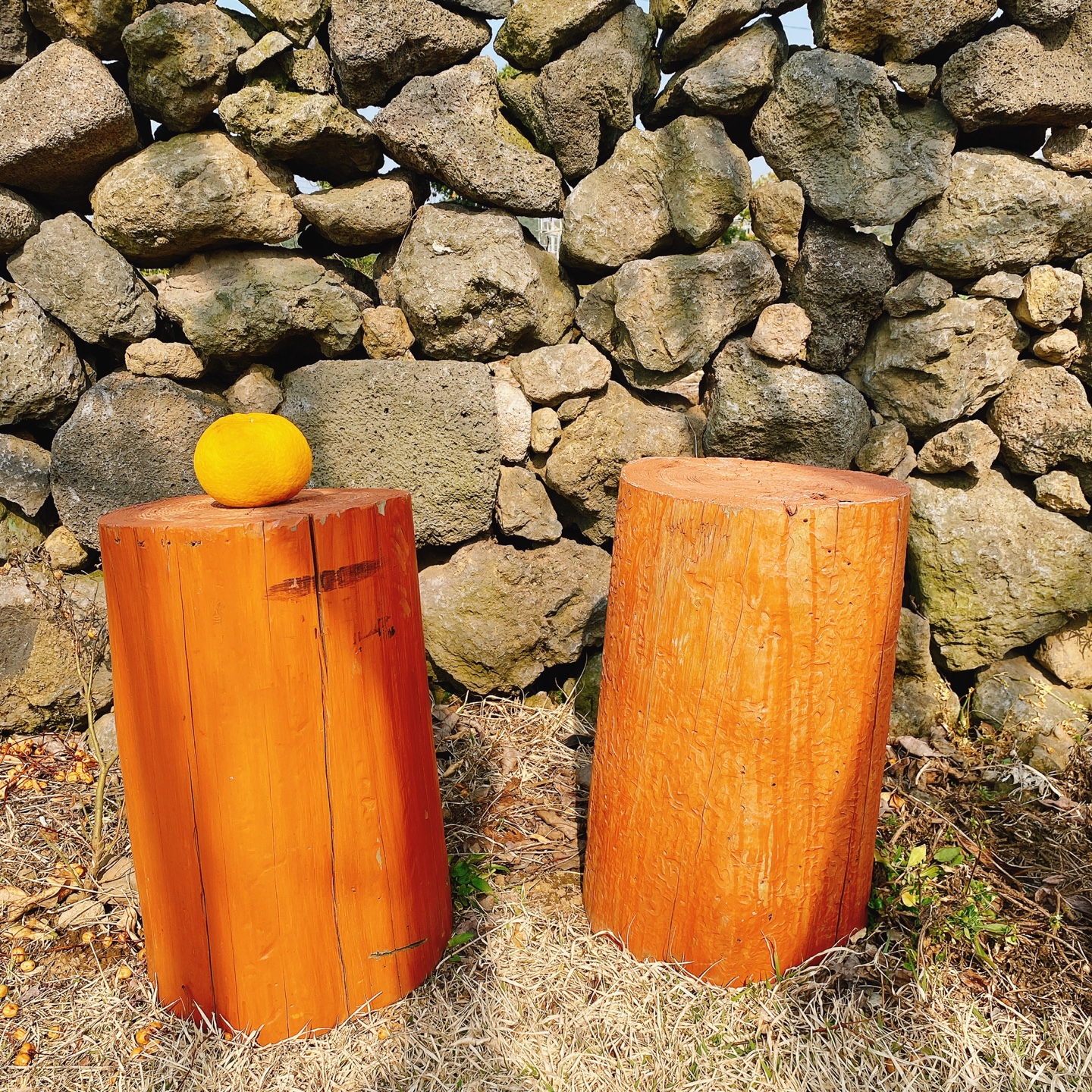 제주불빛정원 애월 유수암리 카페 퍼시몬