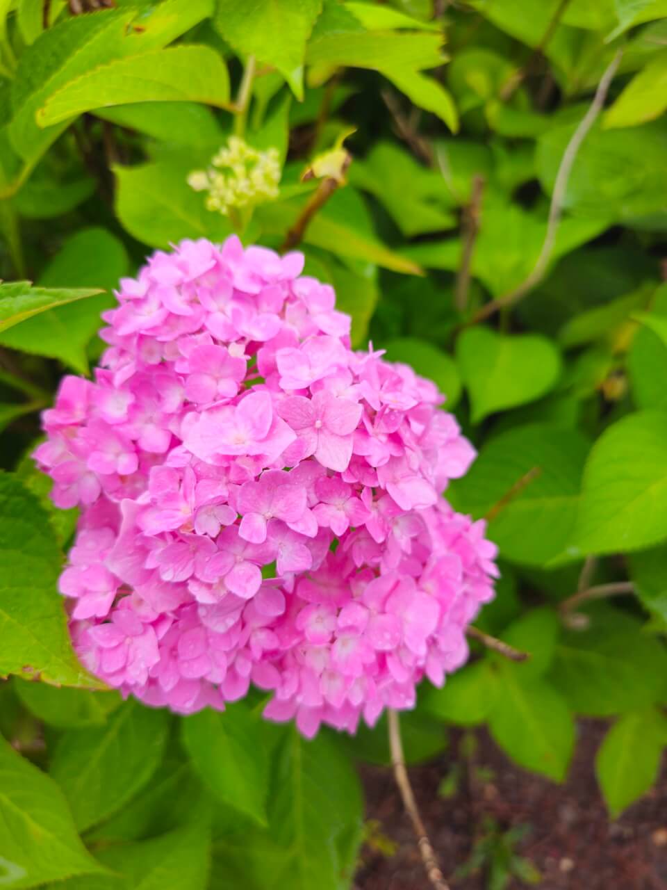 장애인 보조기기 지원제도