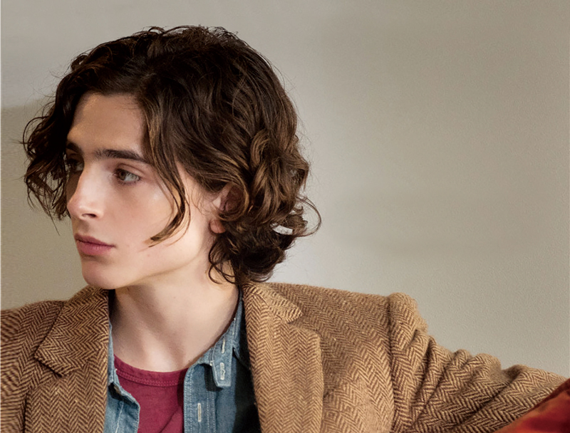 티모시 샬라메 출연작품 추천