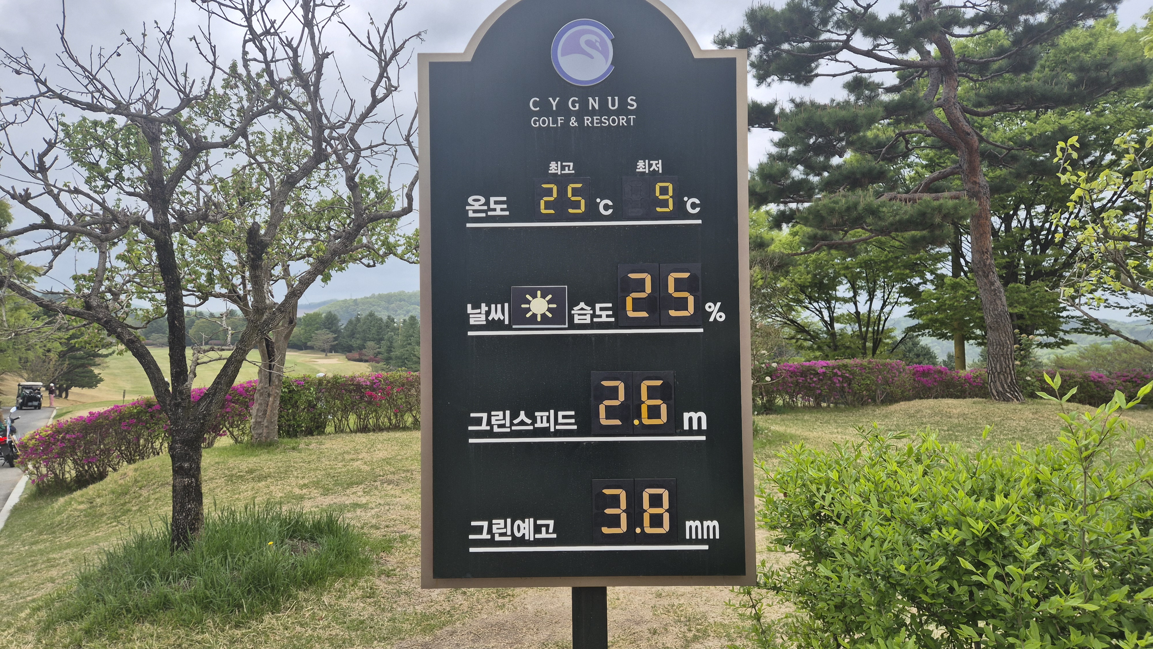 시그너스cc 코튼-라미 코스 그린 빠르기 및 난이도