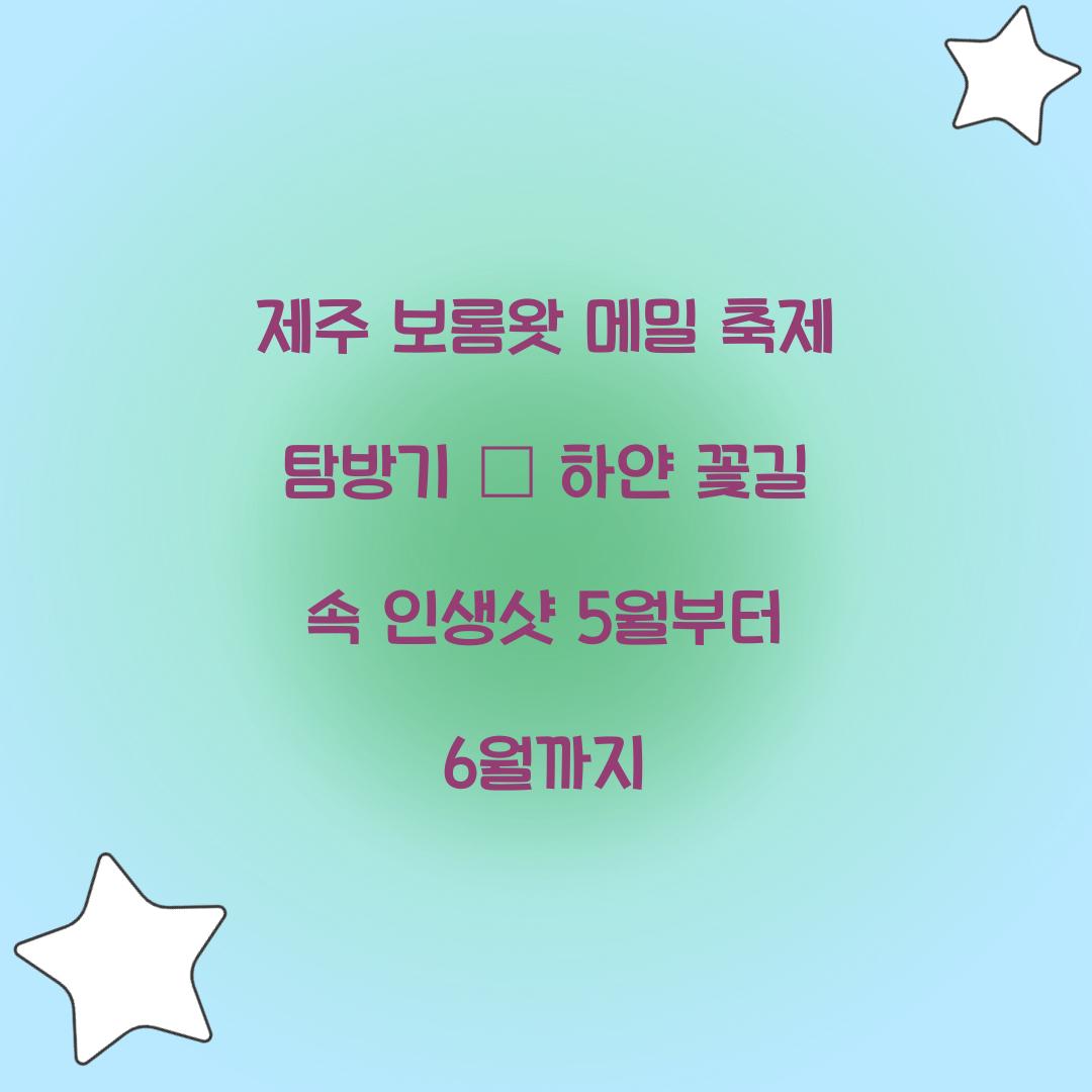 제주 보롬왓 메밀 축제