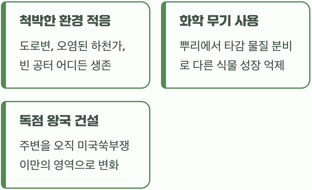 아무 데나 잘 자라는 씩씩함