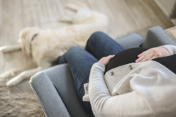 정부 난임지원금