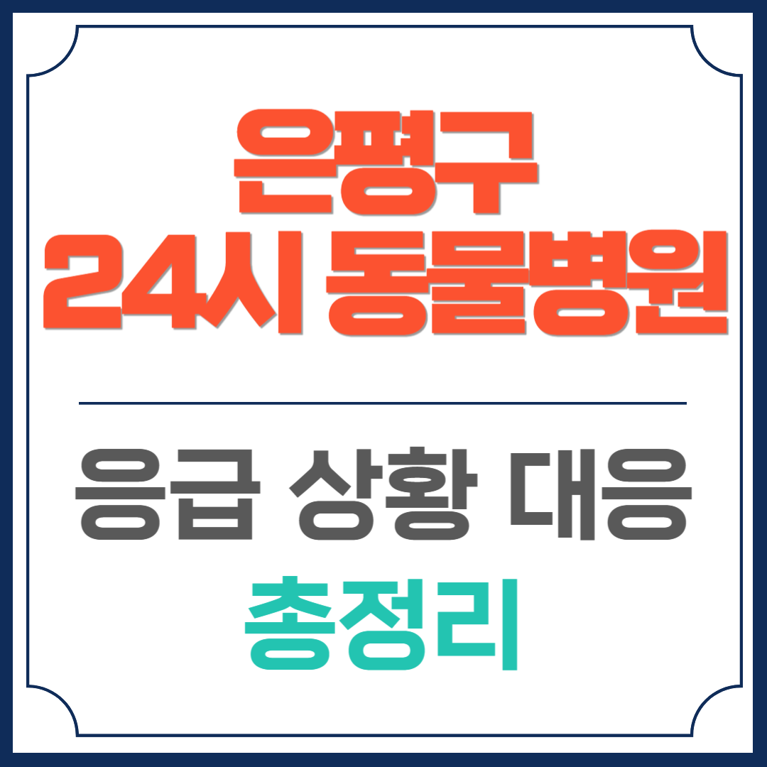 은평구 24시 동물병원
