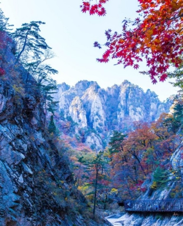 설악산 단풍시기