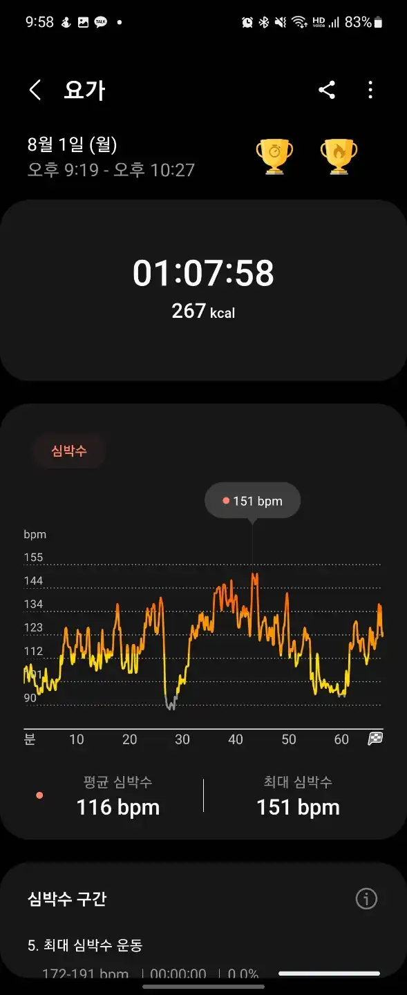 월요일운동기록_플라잉요가
