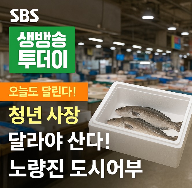 생방송투데이 오늘도 달린다 청년 사장 달려야 산다 노량진 도시어부 피쉬서핑