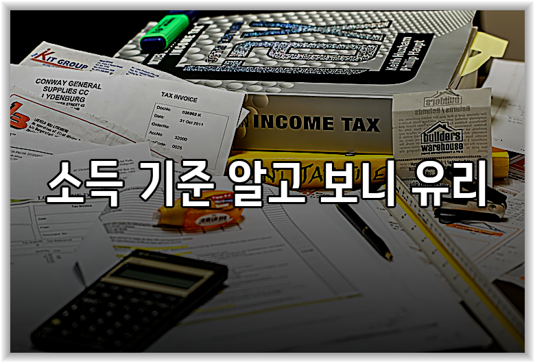 소득 기준 알고 보니 유리