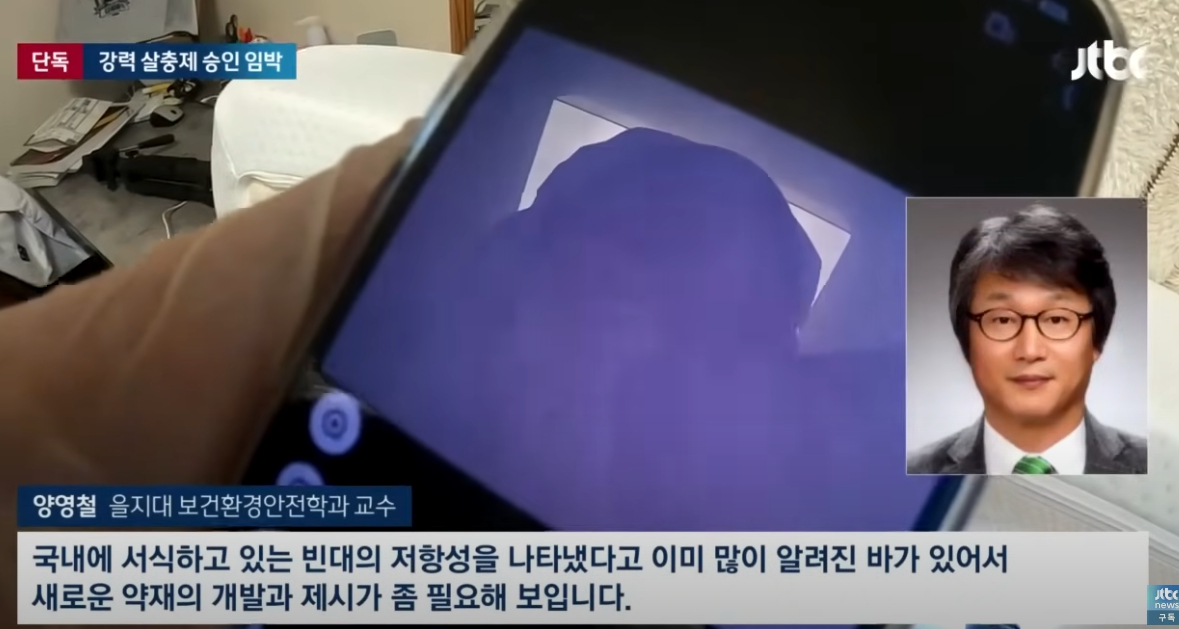 빈대 살충제 긴급승인