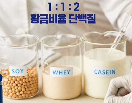 뉴케어-액티브-골든밸런스-효능