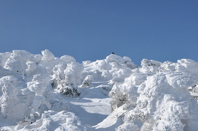 한라산 탐방 예약