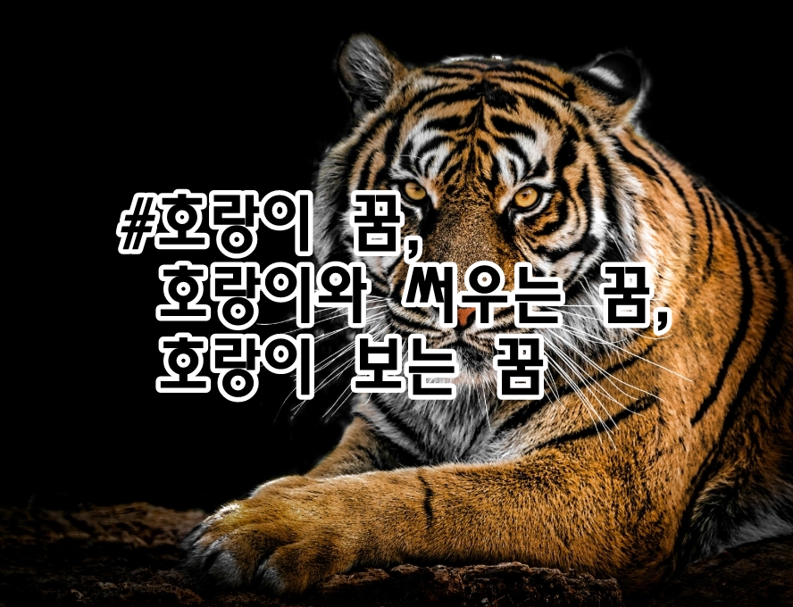 호랑이와 써우는 꿈 호랑이 보는 꿈해몽