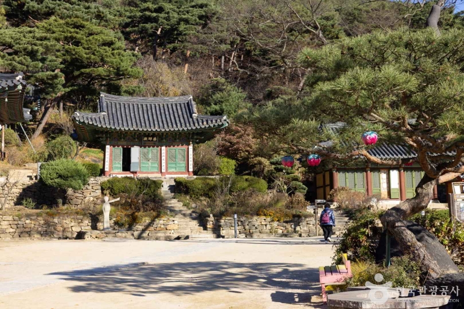 60대 부부 여행 추천 TOP 5
