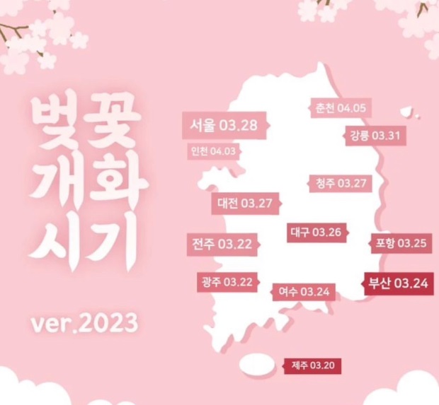 벚꽃