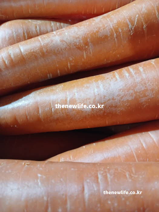 당근 효능 혈관 건강을 지키는 펙틴