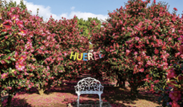 휴애리 제주관광