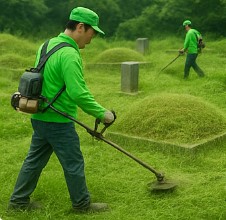 경기도 포천시 벌초 대행 업체,서비스 알아보기