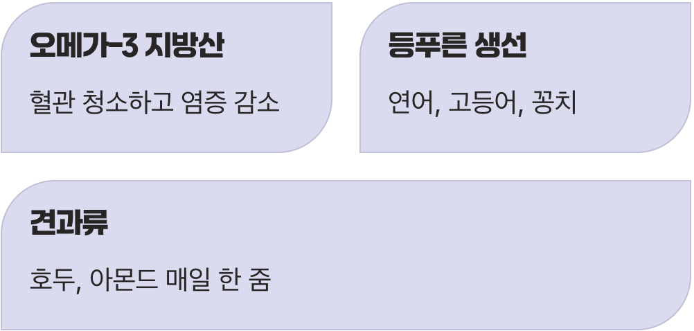 혈관 튼튼, 혈액순환이 정답