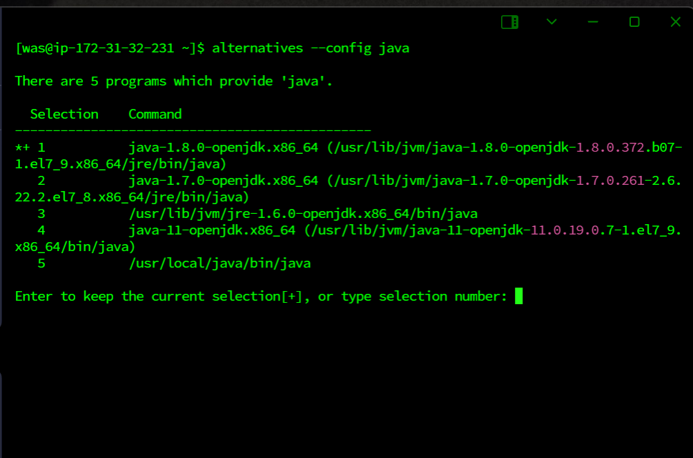 alternative 명령어 사용 java 버전 선택