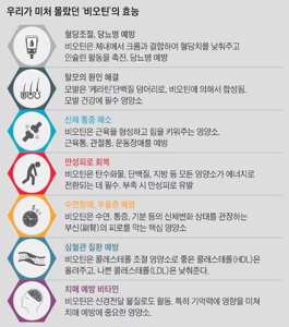 비오틴 음식