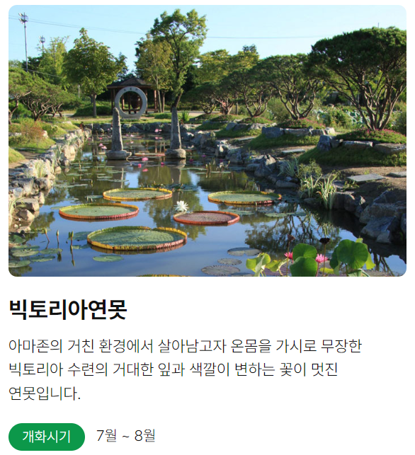 양평 세미원