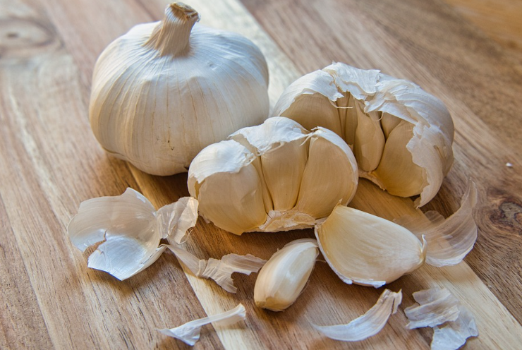 마늘의 효능